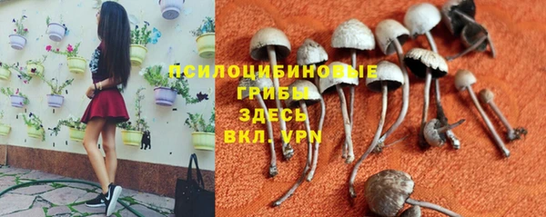 мескалин Нязепетровск