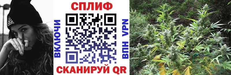 Каннабис сатива  Берёзовский 